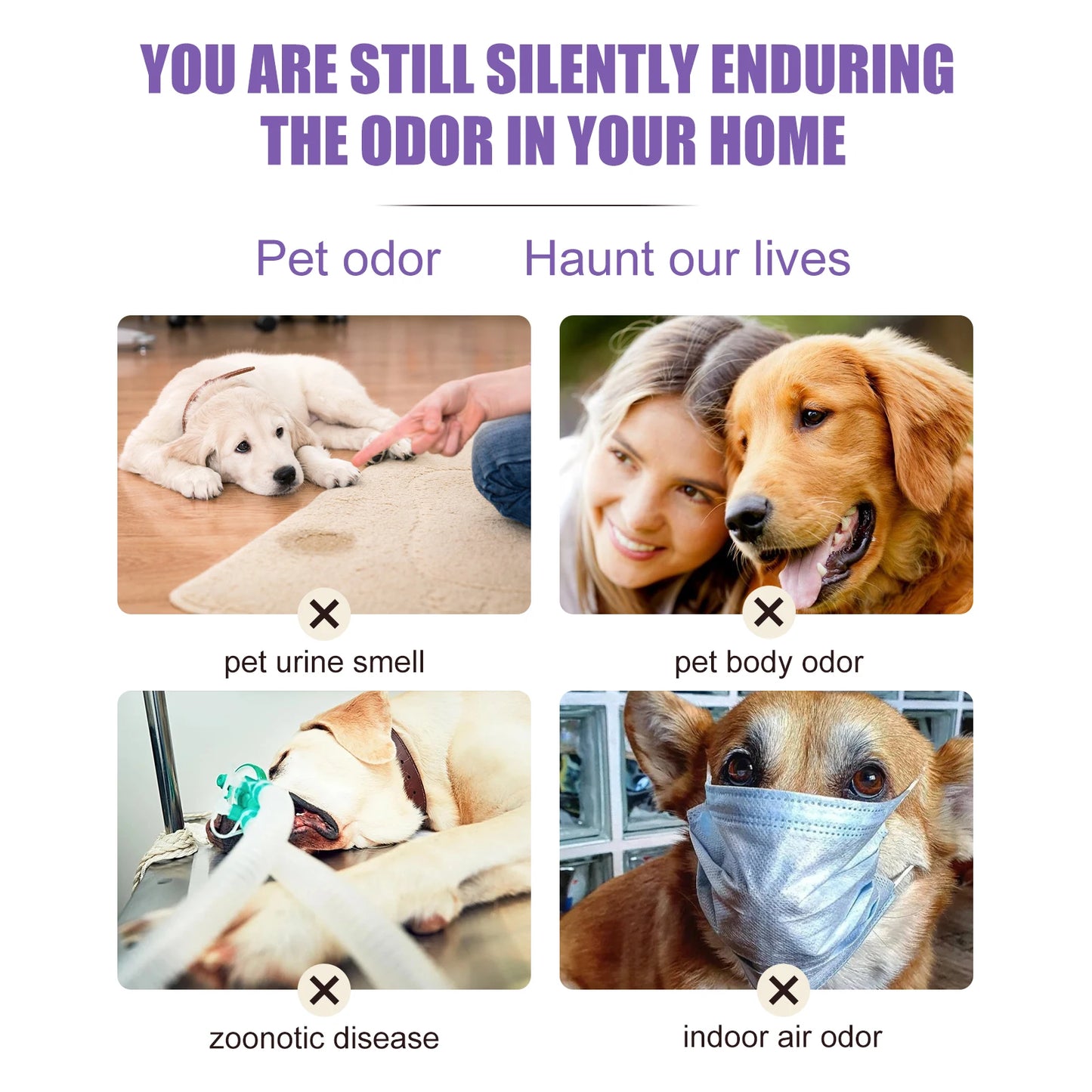 Pet Odor Neutralizer